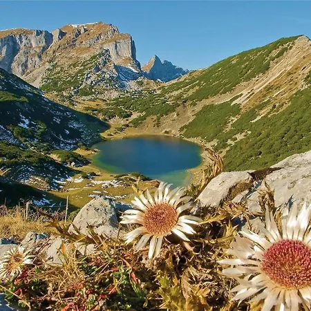 Apartment Moni's Ferienwohnung Radfeld